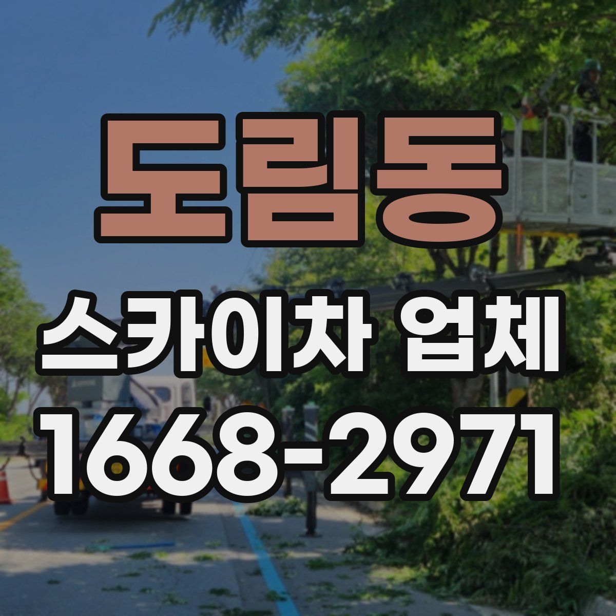 도림동 스카이차 업체