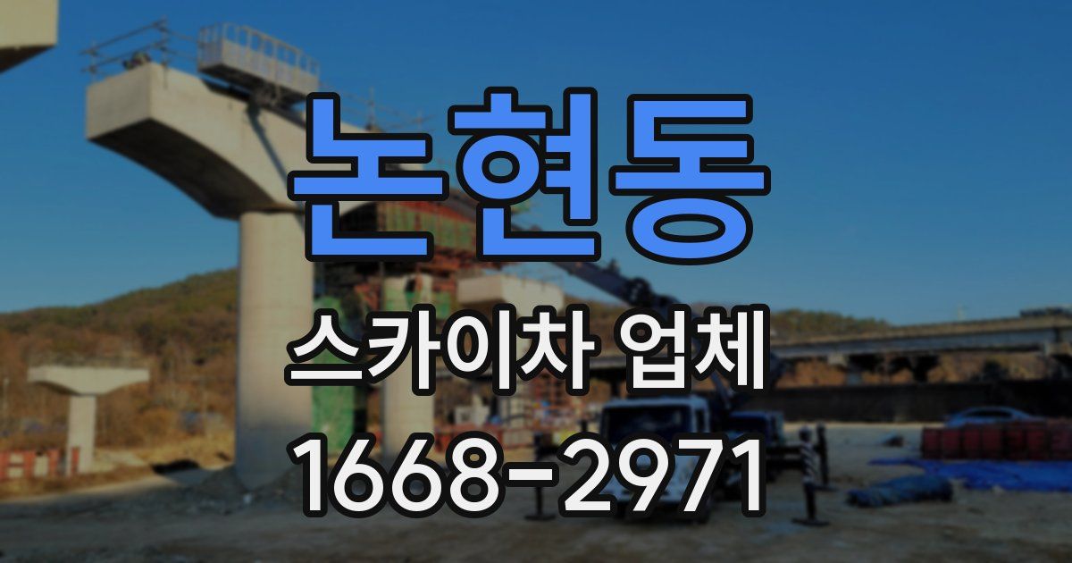 논현동 스카이차 업체