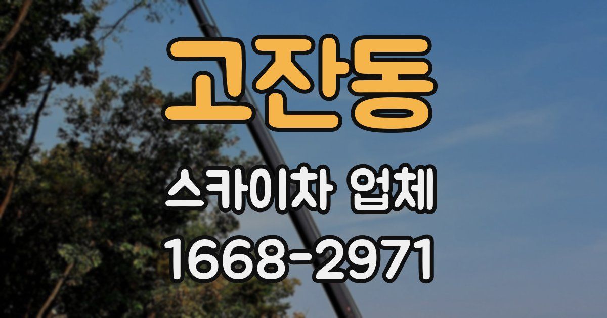 고잔동 스카이차 업체