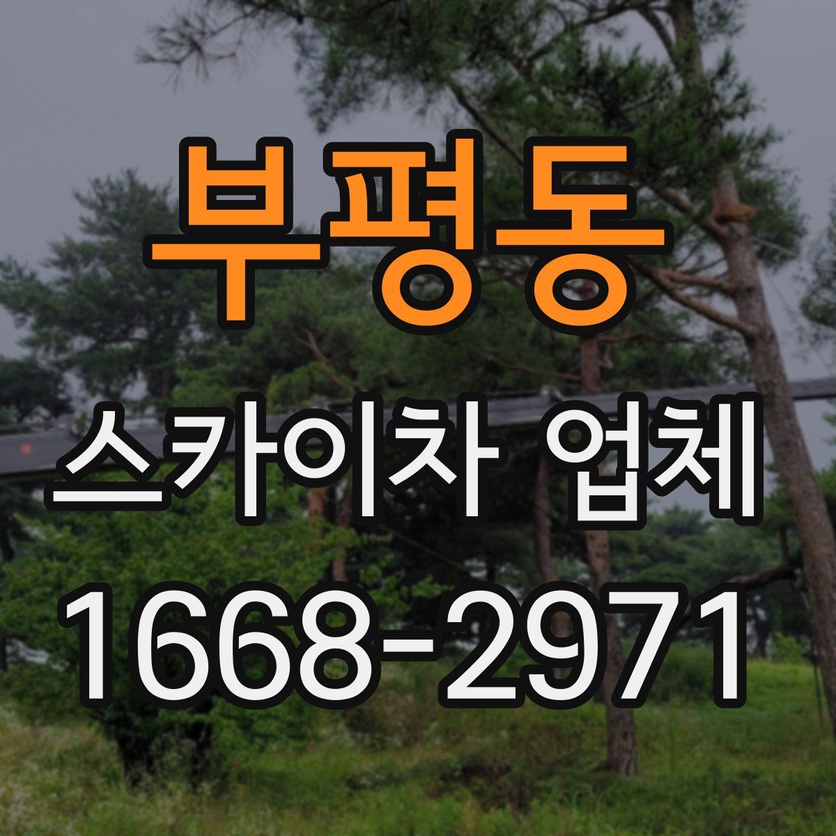 부평동 스카이차 업체