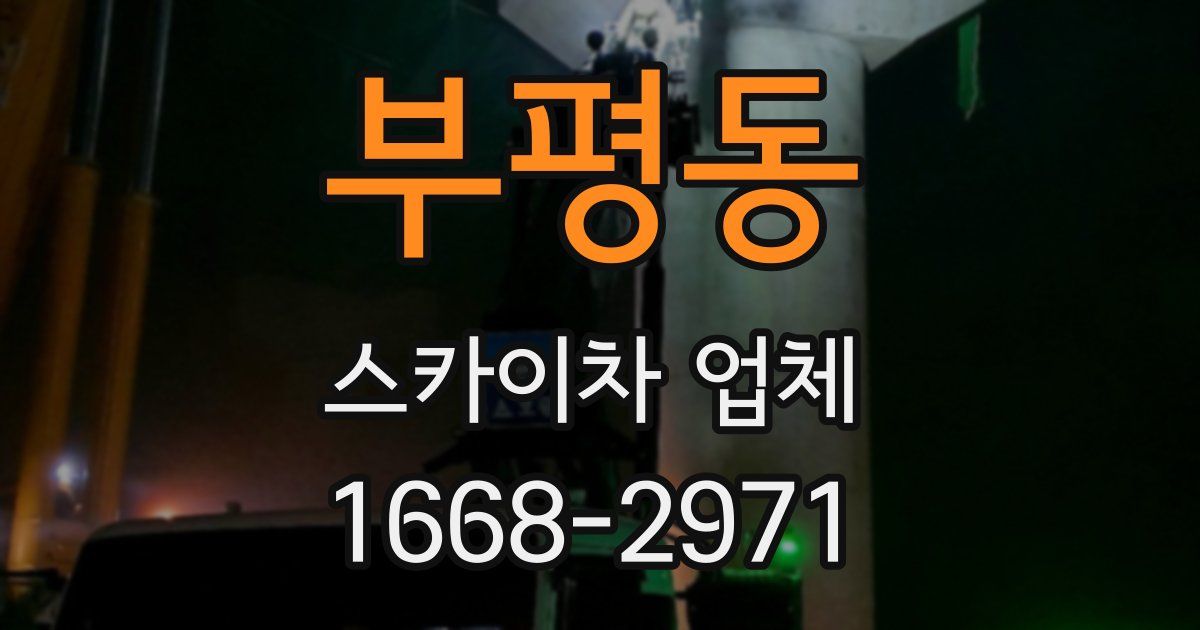 부평동 스카이차 업체