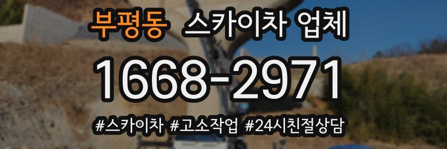 부평동 스카이차 업체