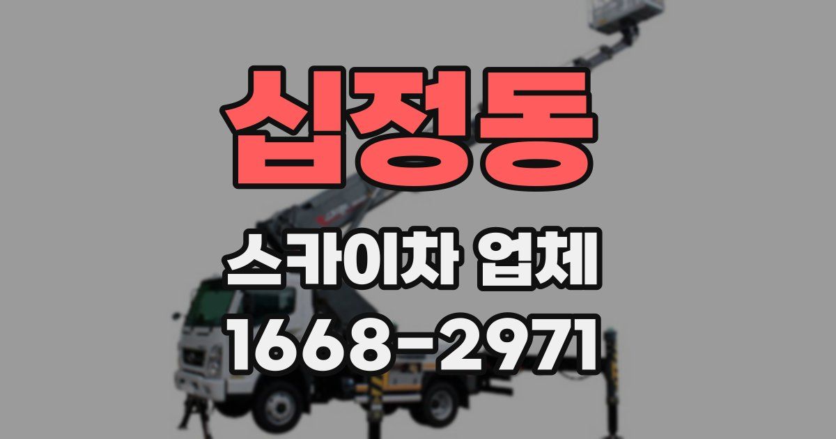 십정동 스카이차 업체