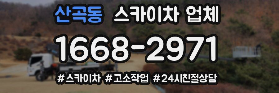 산곡동 스카이차 업체