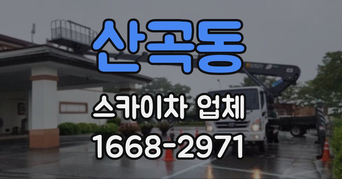 산곡동 스카이차 업체