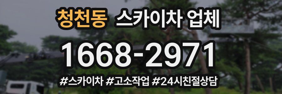 청천동 스카이차 업체