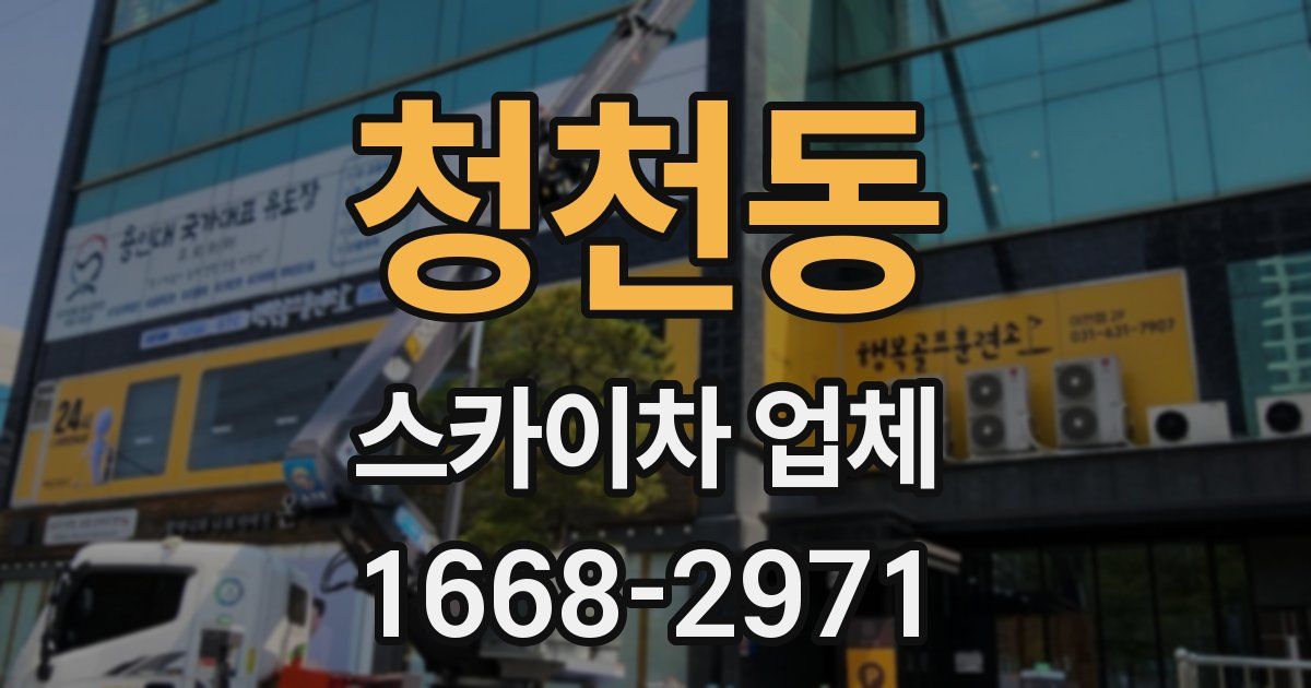 청천동 스카이차 업체