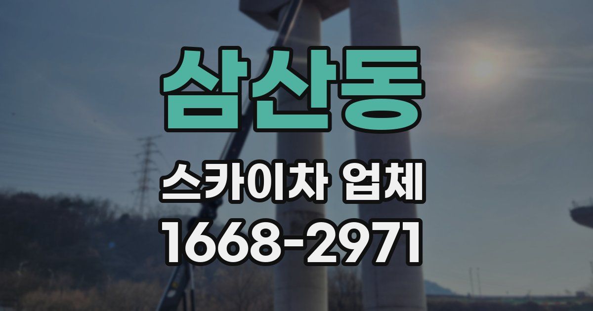 삼산동 스카이차 업체