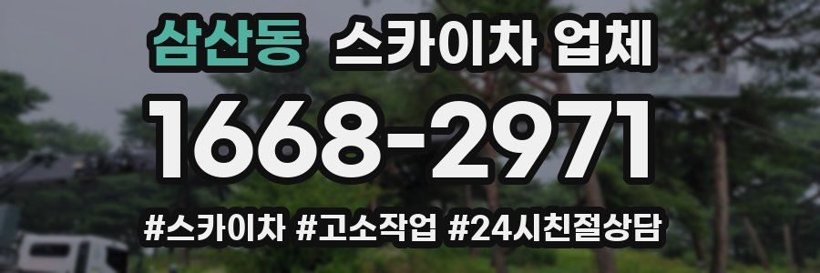 삼산동 스카이차 업체