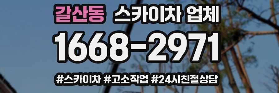 갈산동 스카이차 업체