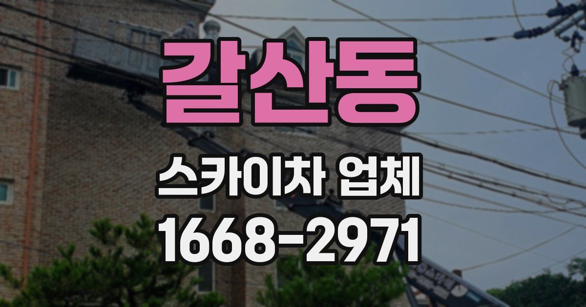 갈산동 스카이차 업체