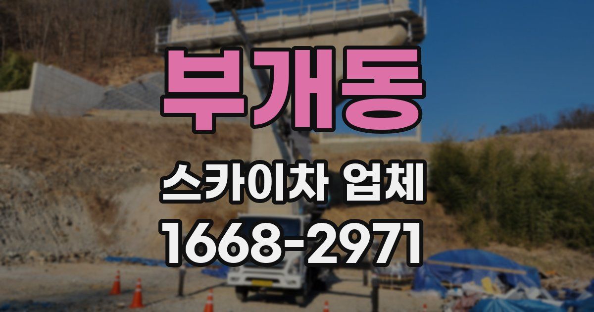 부개동 스카이차 업체