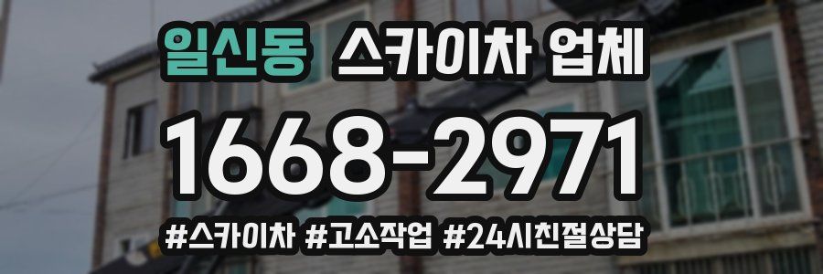 일신동 스카이차 업체