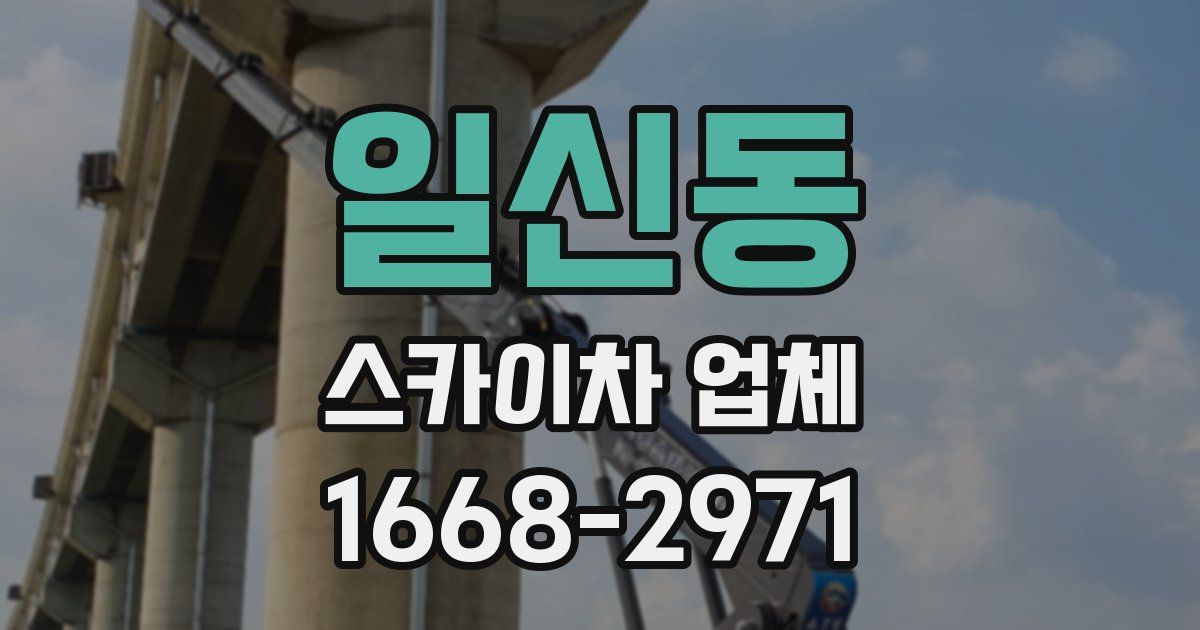 일신동 스카이차 업체