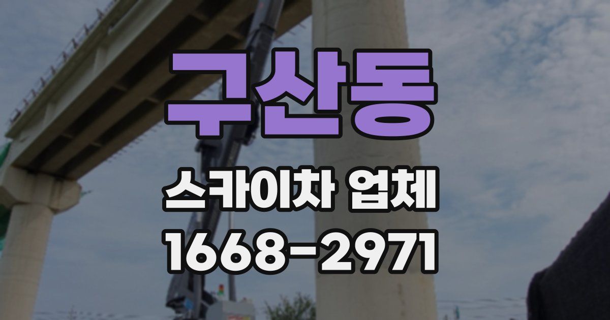 구산동 스카이차 업체
