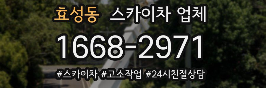 효성동 스카이차 업체