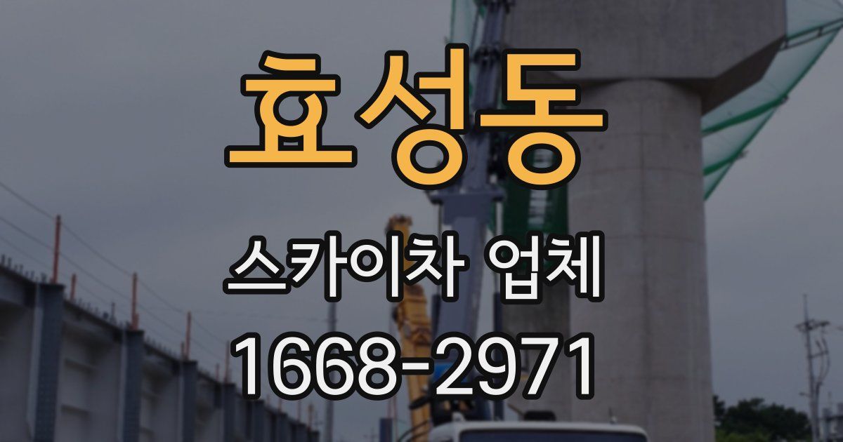 효성동 스카이차 업체
