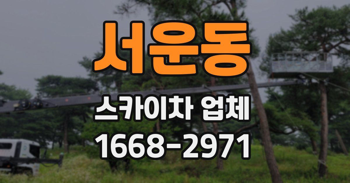 서운동 스카이차 업체