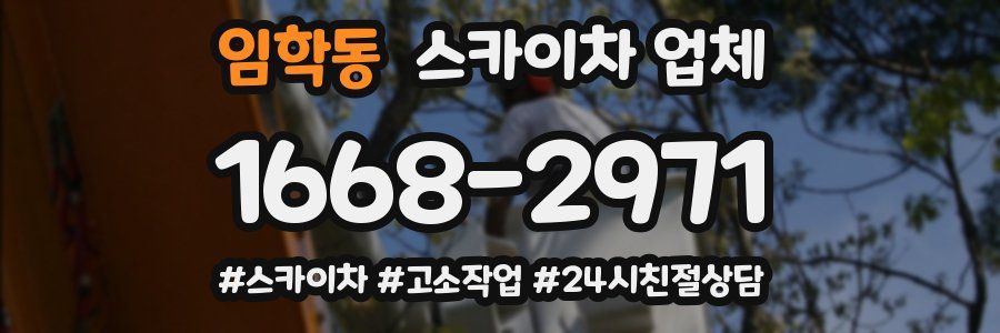 임학동 스카이차 업체