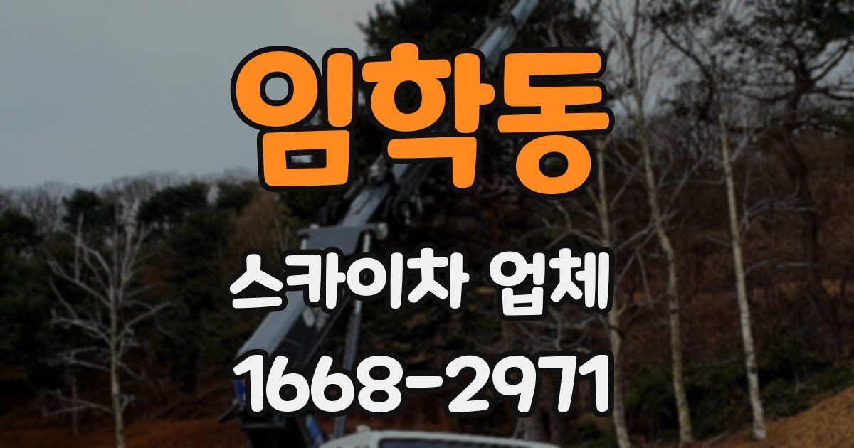 임학동 스카이차 업체
