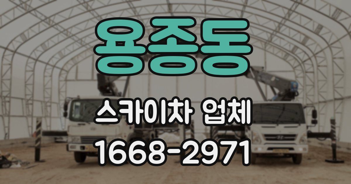 용종동 스카이차 업체