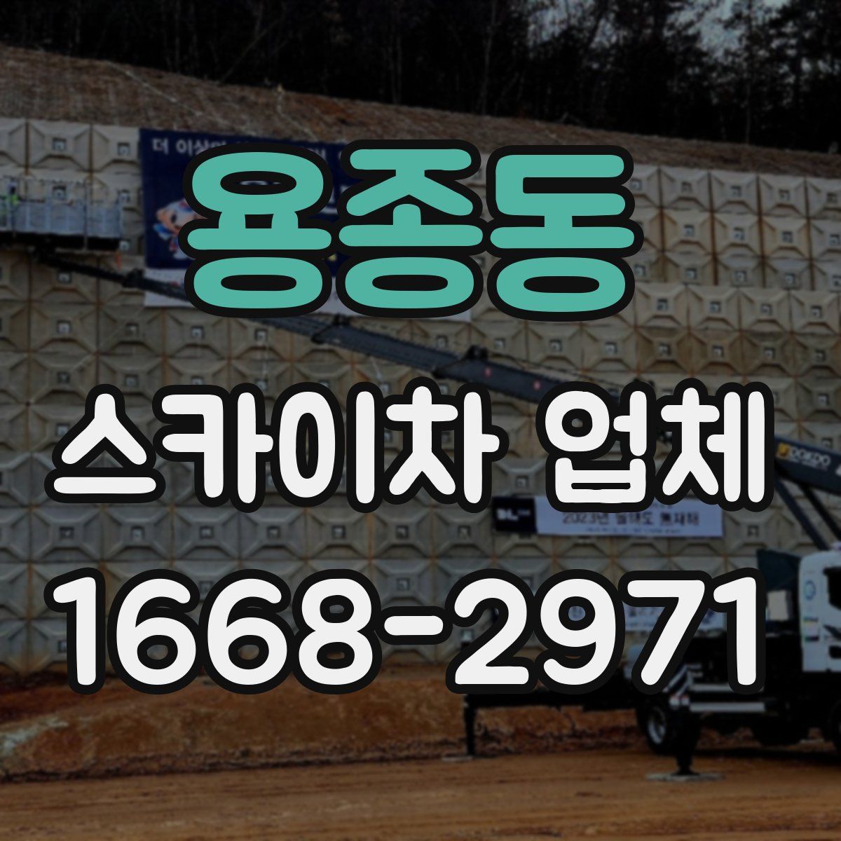 용종동 스카이차 업체