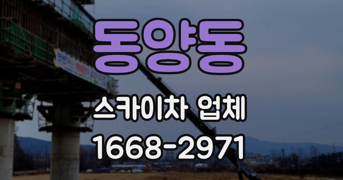 동양동 스카이차 업체