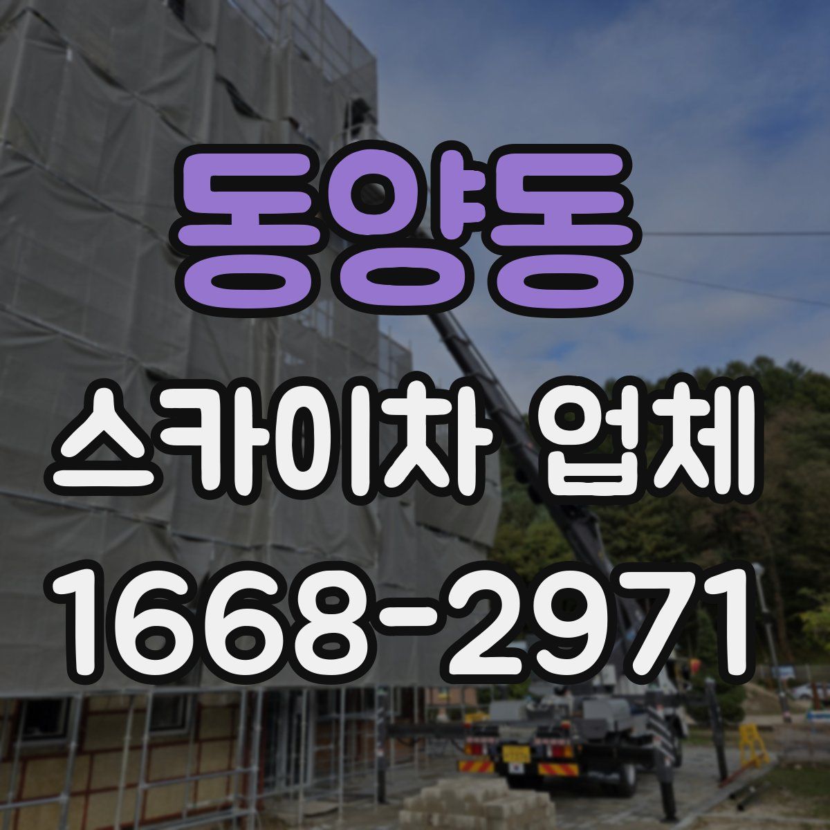 동양동 스카이차 업체