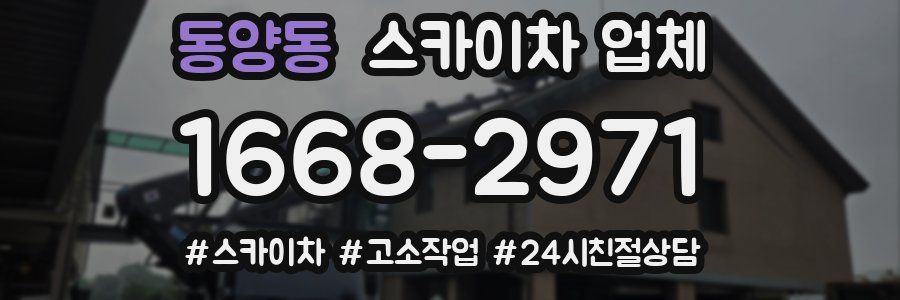동양동 스카이차 업체