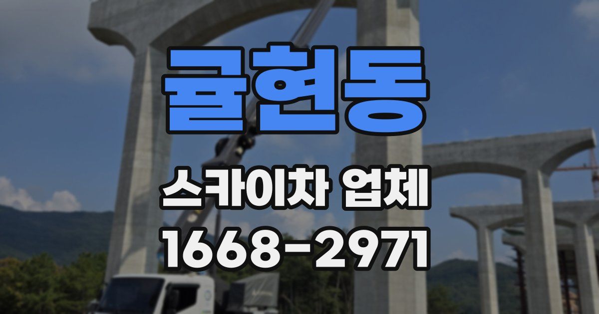 귤현동 스카이차 업체