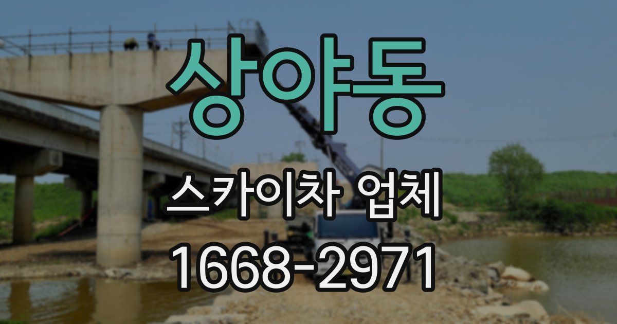 상야동 스카이차 업체