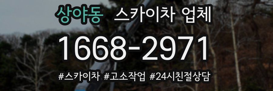 상야동 스카이차 업체
