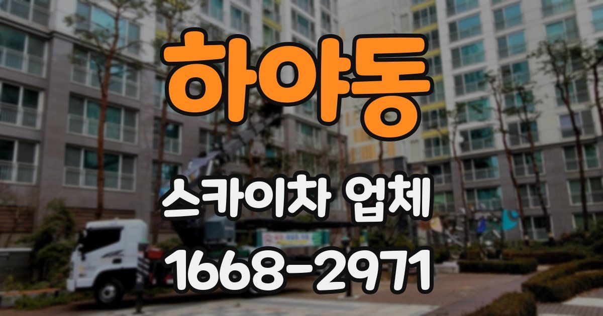 하야동 스카이차 업체