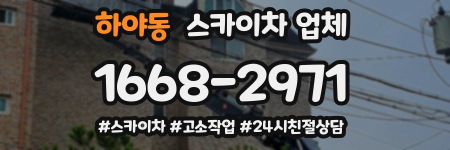 하야동 스카이차 업체