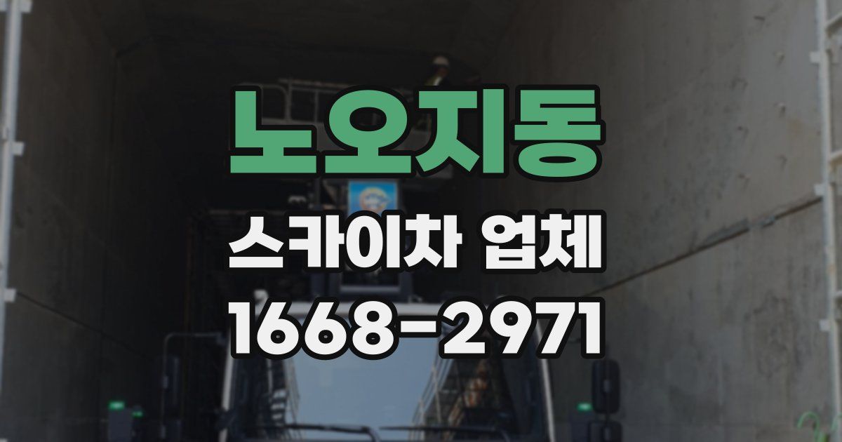 노오지동 스카이차 업체