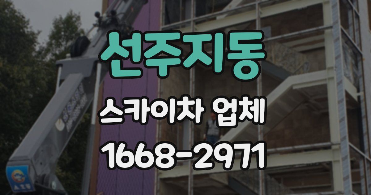 선주지동 스카이차 업체