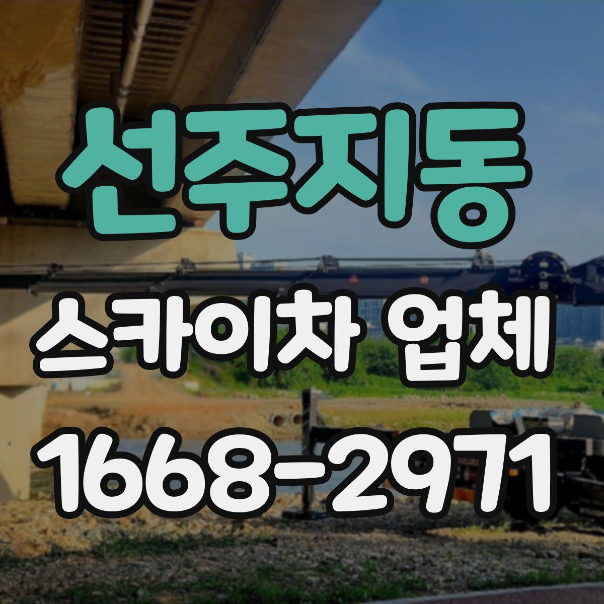 선주지동 스카이차 업체