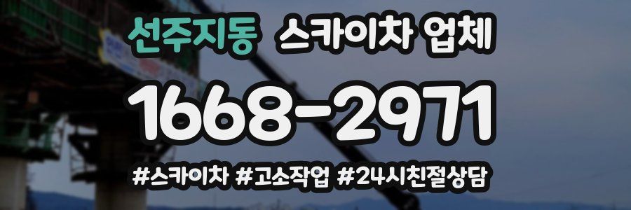 선주지동 스카이차 업체