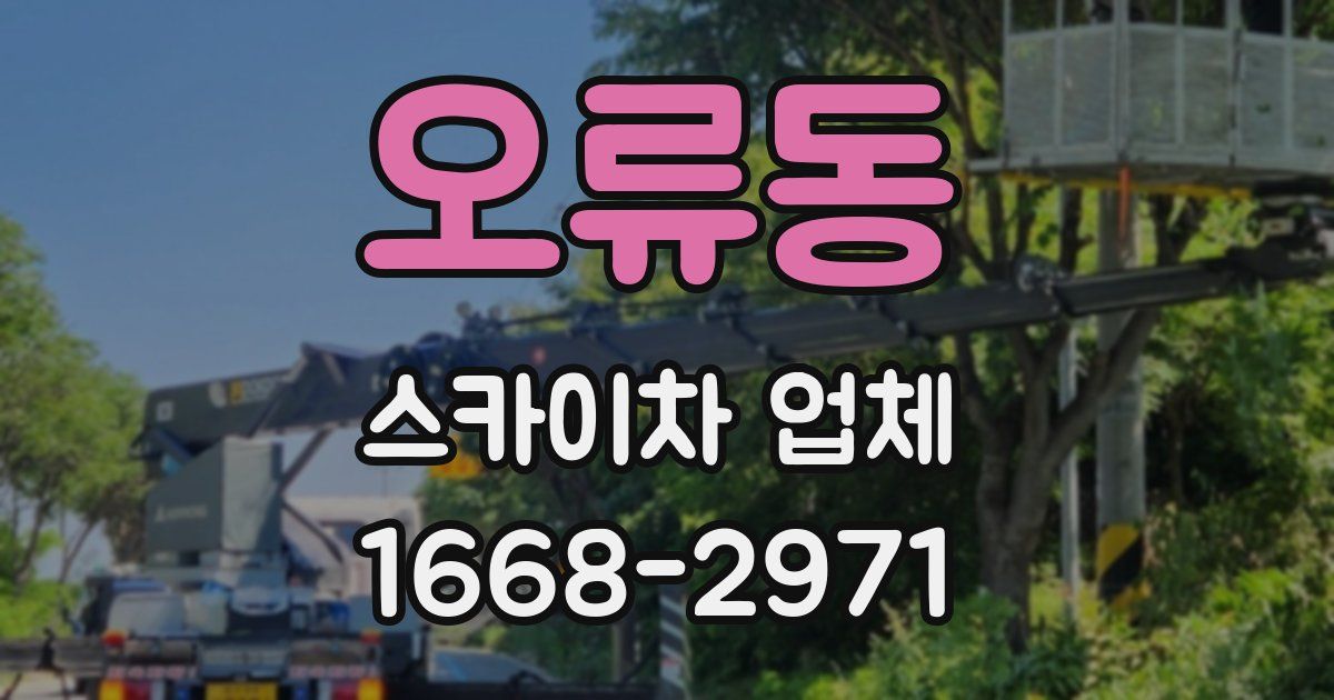 오류동 스카이차 업체