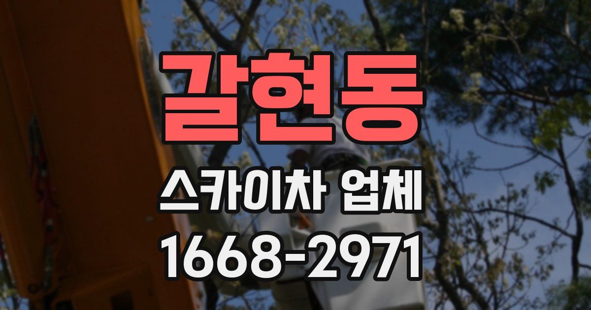 갈현동 스카이차 업체