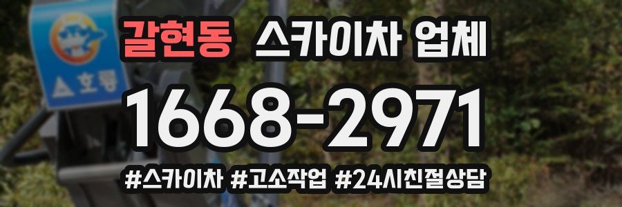갈현동 스카이차 업체