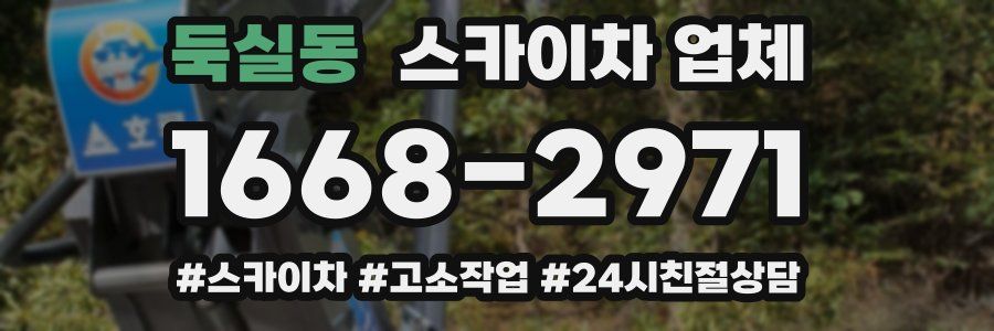 둑실동 스카이차 업체