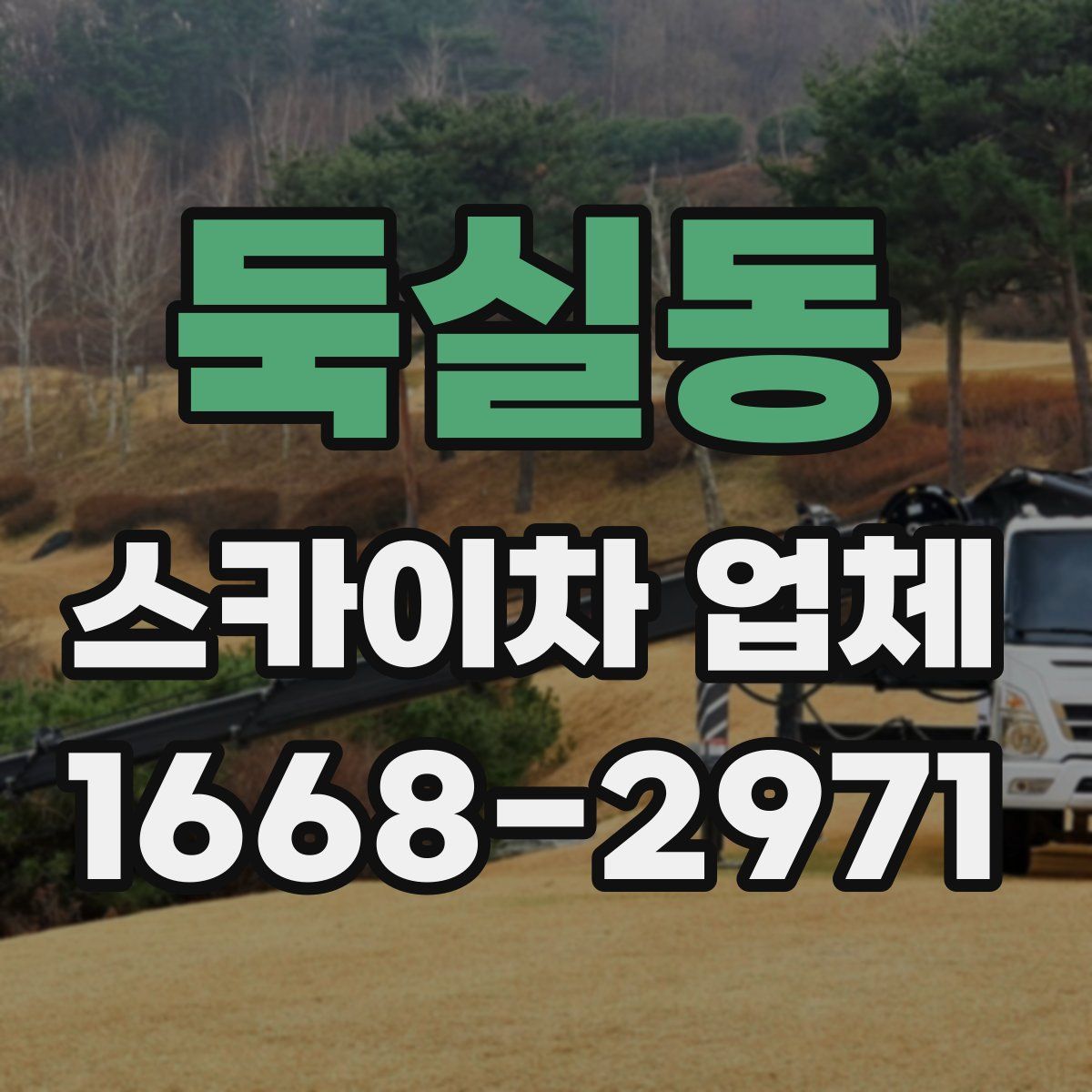 둑실동 스카이차 업체