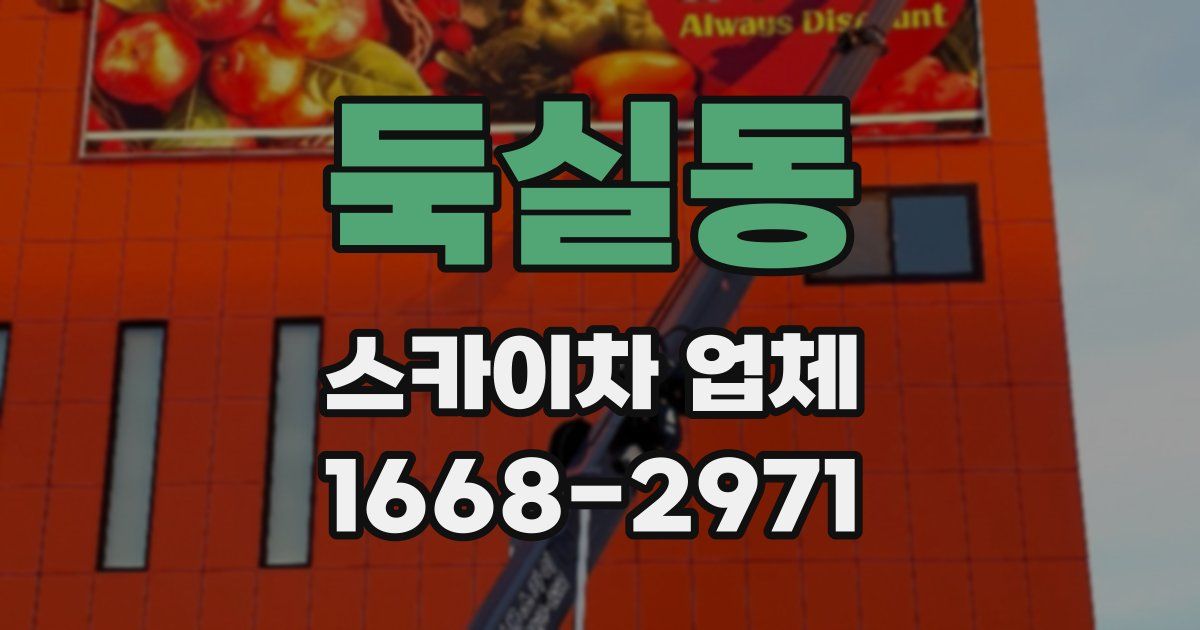 둑실동 스카이차 업체