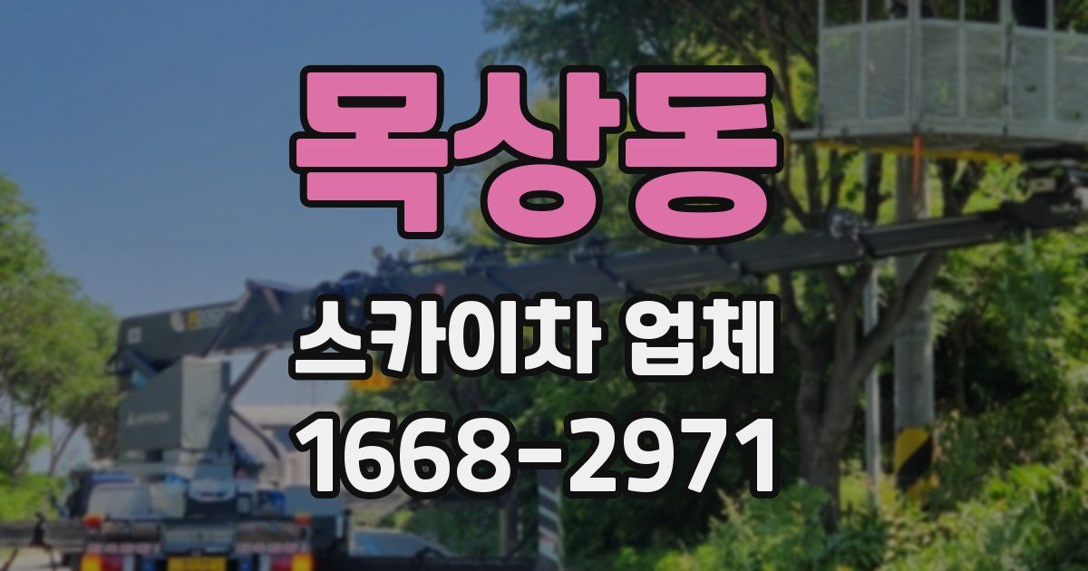 목상동 스카이차 업체
