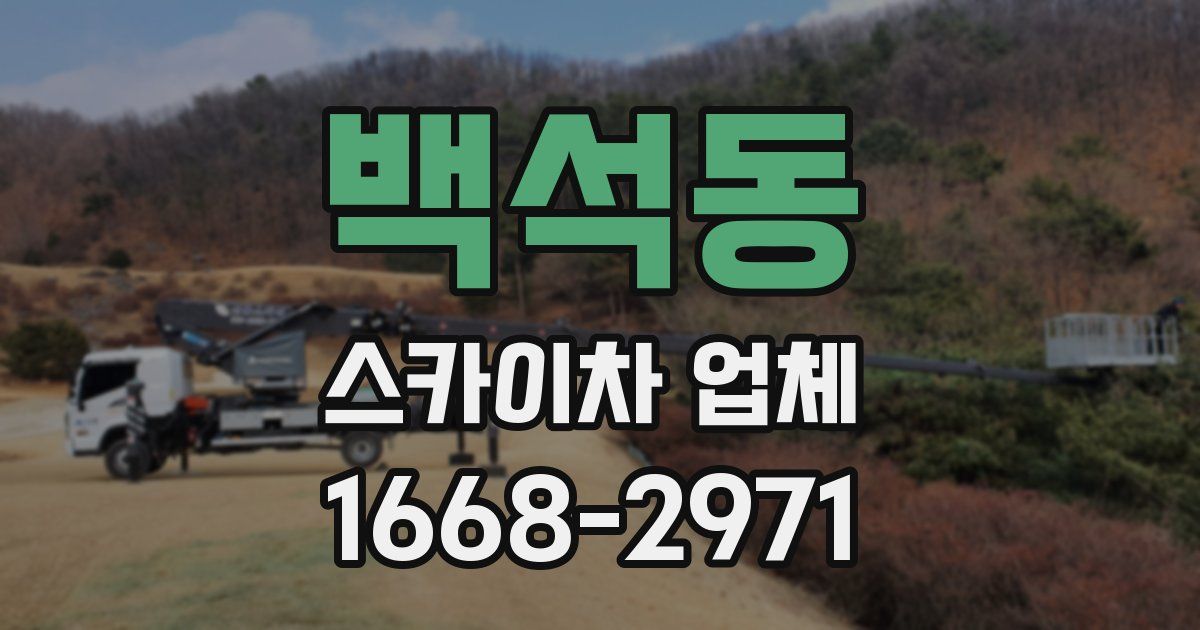 백석동 스카이차 업체