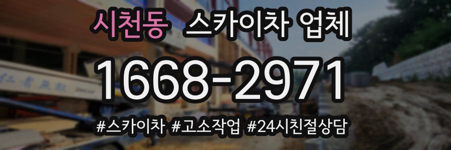시천동 스카이차 업체