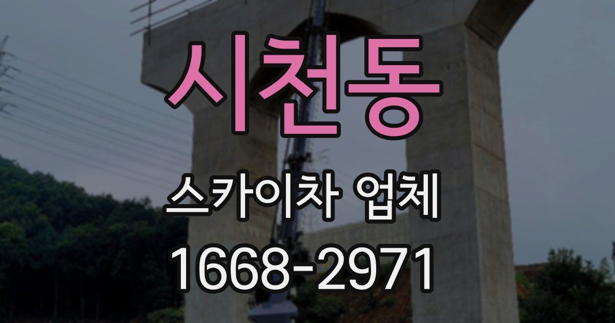 시천동 스카이차 업체