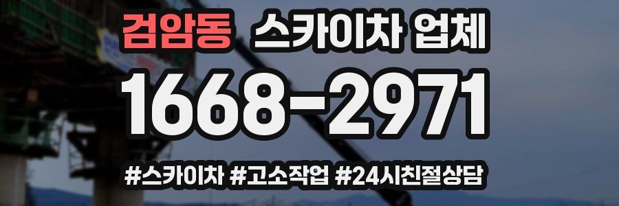검암동 스카이차 업체