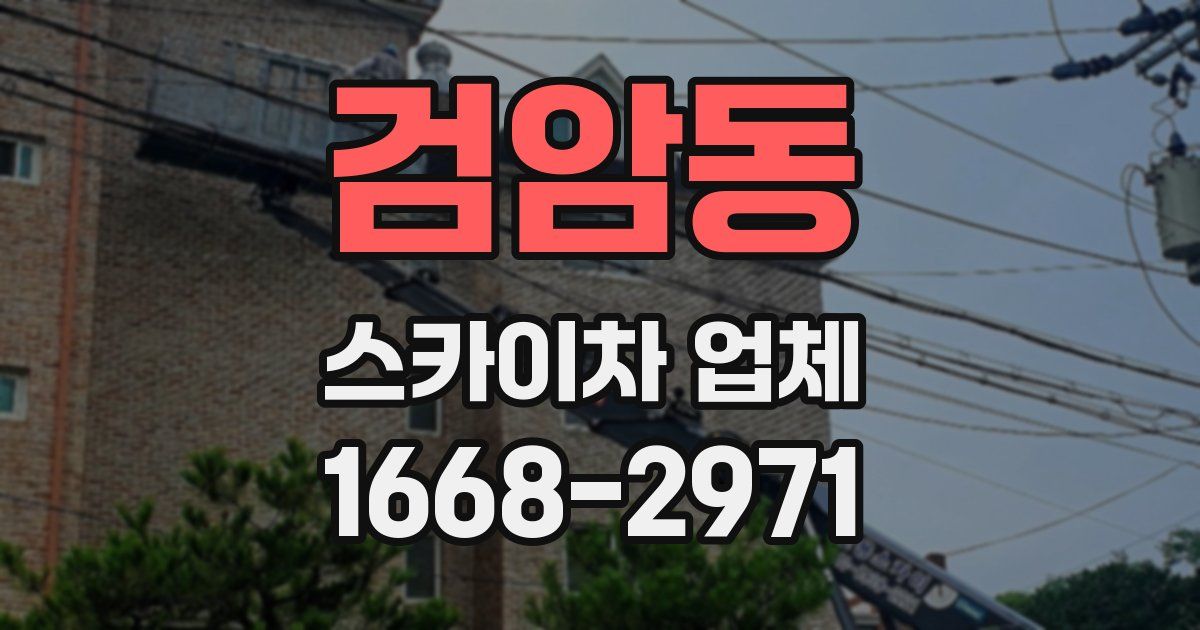 검암동 스카이차 업체